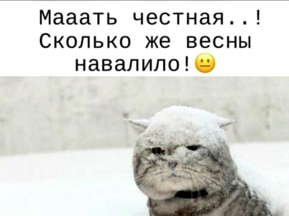 Бийск в сети: апрельская зима стала самой обсуждаемой темой недели