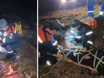 Мужчина получил травмы во время сбора орехов на Алтае