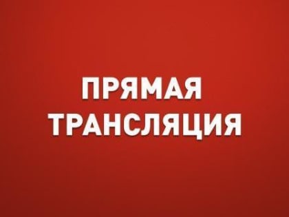 Прямая трансляция публичных слушаний по отчету об исполнении краевого бюджета за 2018 год