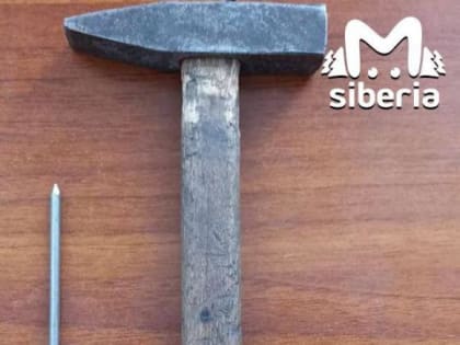 Ребёнок ударил ровесника молотком по голове в Барнауле