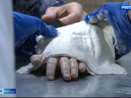 В новогодние каникулы в Барнауле почти на треть увеличилось среднесуточное количество вызовов скорой