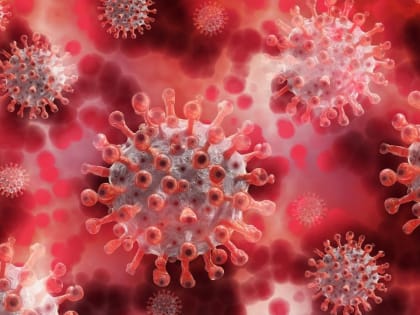 COVID "скосил" почти 70 жителей Алтайского края за сутки