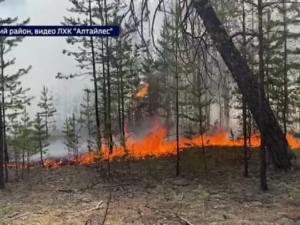 В Егорьевском районе почти удалось локализовать лесной пожар