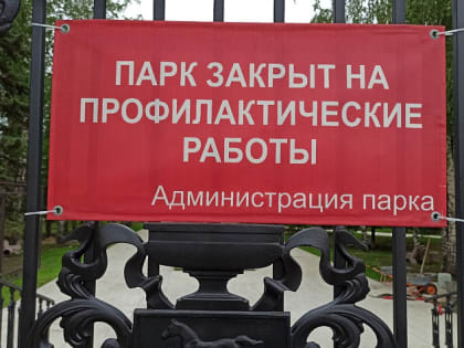 Реконструкцию парка «Центральный» в Барнауле могут завершить досрочно