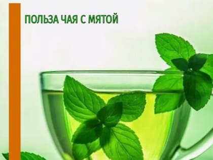Польза чая с мятой