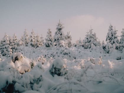 Что нельзя делать в Златоустьев день. Народные приметы 9 февраля