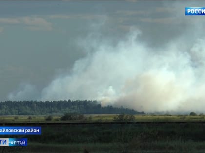 Пожар, который разгорелся накануне неподалёку от райцентра Михайловское, на данный момент локализован