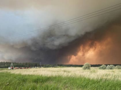 В Егорьевском районе продолжают бороться с лесным пожаром