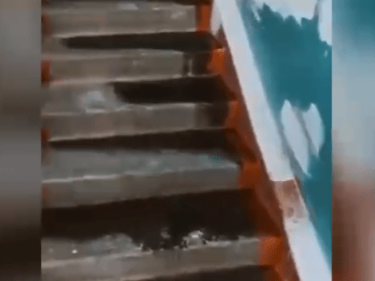 В Барнауле с приходом тепла затопило подъезд в многоэтажке