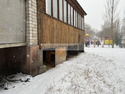 В продолжение темы о сложной ситуации с  безнадзорными животными в городе Рубцовске