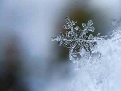 Морозы не уйдут. В МЧС предупредили о сохранении холодной погоды в Алтайском крае