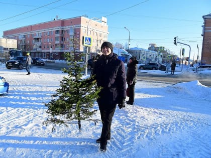 В преддверии новогодних праздников в Алтайском крае усилили охрану хвойного молодняка