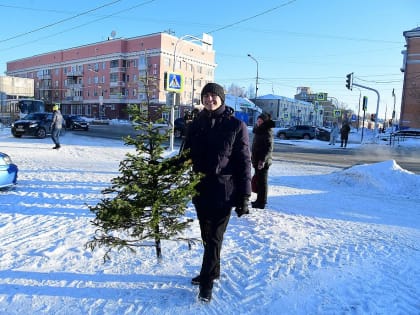 В преддверии новогодних праздников в Алтайском крае усилили охрану хвойного молодняка