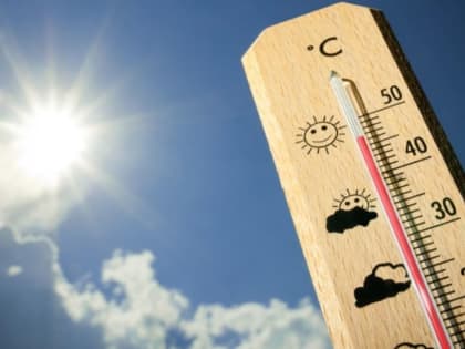 В Алтайском крае неделя закончится 30-градусной жарой и небольшими дождями