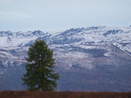 Погода в Республике Алтай: колебания температур и отсутствие осадков