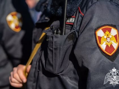 Патруль Росгвардии задержал подозреваемого в совершении кражи