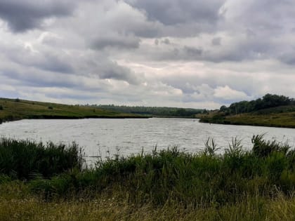 Местами дожди: о погоде в Алтайском крае 28 августа