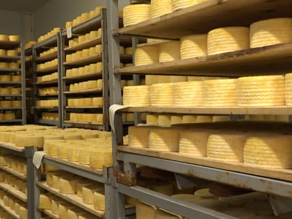 Переработчикам молока возместят транспортные затраты