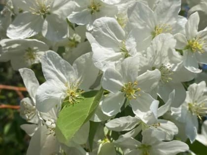 Какая погода ждёт жителей Алтайского края в выходные