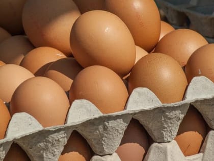 Почему подорожали яйца в магазинах Рубцовска и Алтайского края?