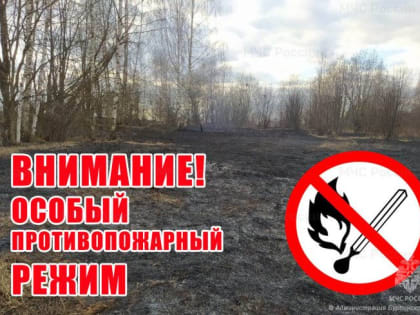 С 27 апреля 2024 года на территории Алтайского края введен особый противопожарный режим