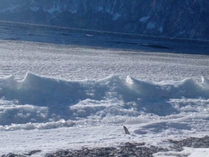 На Алтае показали, как выглядит труднодоступный южный берег Телецкого озера