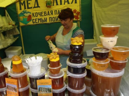 Тренинг по разработке онлайн-курсов для социального бизнеса в Ставрополе