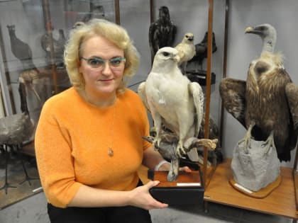 Не кормите голубей. Зачем людям нужно отпугивать птиц? Рассказываем