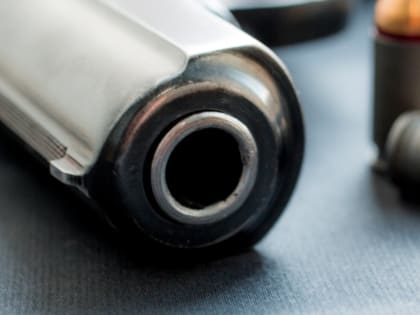 В петергофском музее 27-летняя туристка угрожала посетителям пистолетом