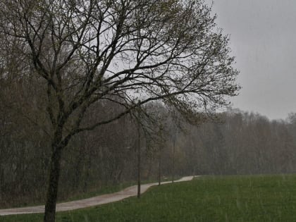 Похолодание, снег и ветер накрыли Алтайский край на экваторе весны