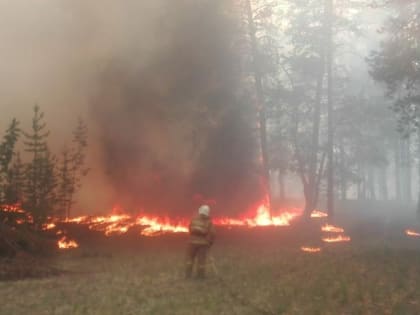 Всем миром тушили пожар в хабарском заказнике