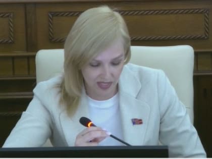 Просто цифры, или шаг к решению наболевшей проблемы с бездомными собаками? Мнения депутатов социалистов разделились