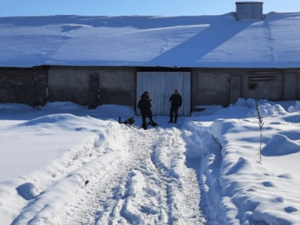 В алтайском селе мать заживо сожгла малолетнюю дочь на глазах сына