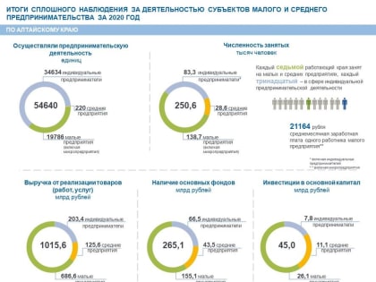 Итоги сплошного наблюдения за деятельностью субъектов малого и среднего предпринимательства за 2020 год по Алтайскому краю