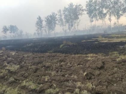В Бурлинском районе горели поля на площади 2500 га