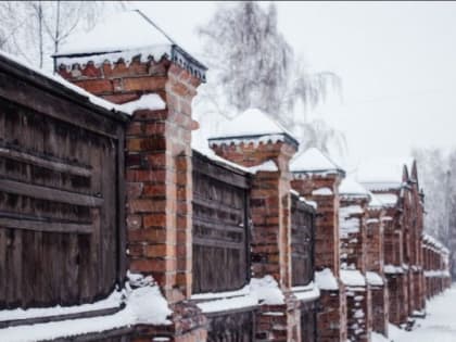 Южный ветер принесет снег и потепление в Алтайский край 21 февраля