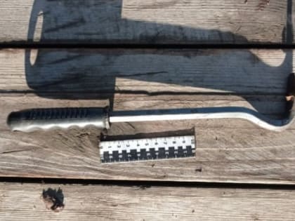 На Алтае мужчина гвоздодером убил мать четверых детей