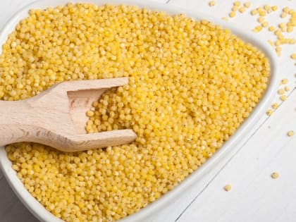 Перспективы использования проса в пищевой отрасли