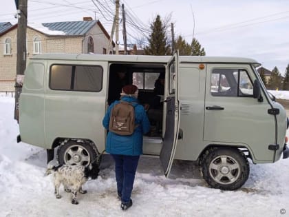 В пригороде Ленинского района продолжается работа пунктов выездной регистрации и чипирования домашних собак