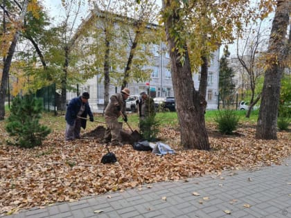 Акция по озеленению в Петровском микрорайоне