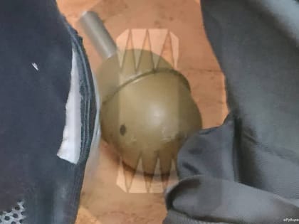 В Омске ученик третьего класса принес в гимназию гранату, достал на уроке и показал одноклассникам