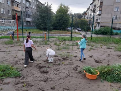 На спортивной площадке во дворе дома по ул. Чеглецова, 7а навели порядок