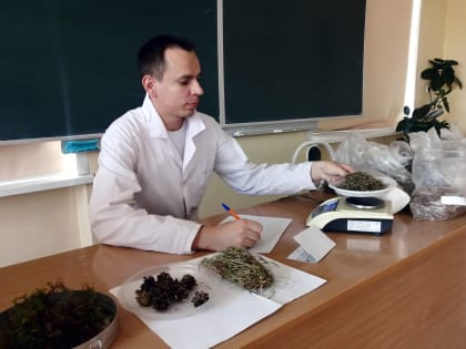 Ученые Алтайского ГАУ установили, какие участки сосновых боров наиболее пожаропасны