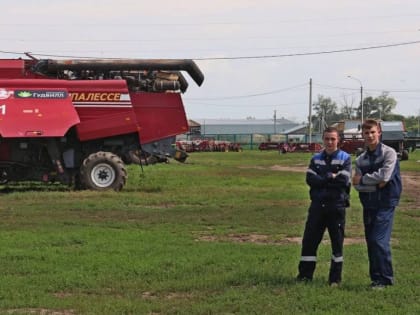 Уборка урожая в Алтайском крае начинается через две недели