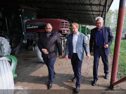 За пять лет Алтайский край вышел на 1 место в России по производству льна масличного