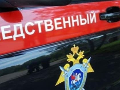 В Алтайском крае до сих пор не нашли мужчину, который задавил жену на "УАЗе"