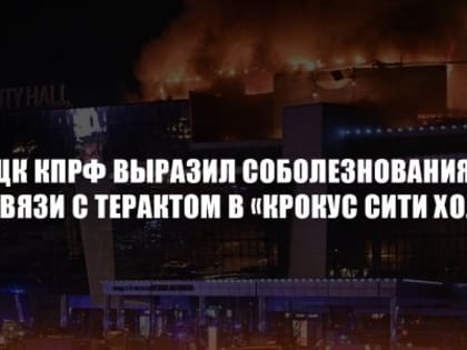 Соболезнуем в связи с терактом в 