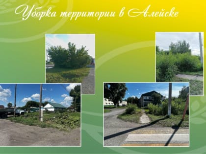 Уборка территории в Алейске