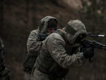 Военный эксперт оценил недельные потери ВСУ и назвал конкретные цифры