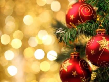 Уважаемые жители Алтайского края! Дорогие друзья!